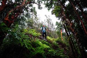 BIB: 
                            <button type="button" onclick="openModal(26204829)" class="btn btn-primary btn-sm float-right btn-popup" data-toggle="modal" data-target=".modal-high-quality">
                        <i class="fas fa-shopping-cart"></i> Add to Cart
                    </button>
                                            <button type="button" onclick="isThisMe(26204829, true)" class="btn btn-success btn-sm float-right btn-popup btn-isme hidden" data-toggle="tooltip" data-placement="bottom" title="นี่คือรูปของคุณใช่ไหม คลิกที่นี่เพื่อเอาเข้าอัลบั้ม">
                        <i class="fas fa-plus"></i> Add to album
                    </button>
                    <button type="button" onclick="isThisMe(26204829, false)" class="btn btn-warning btn-sm float-right btn-popup btn-isnotme hidden">
                        <i class="fas fa-ban"></i> Remove from album
                    </button>